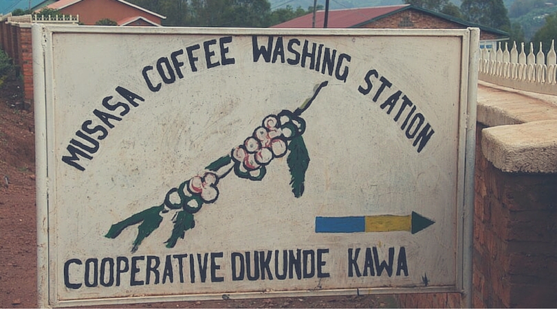 Musasa Kaffee-Kooperative-ruanda Washing Station