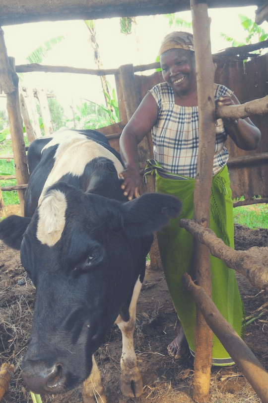 Odette mit ihrer Kuh