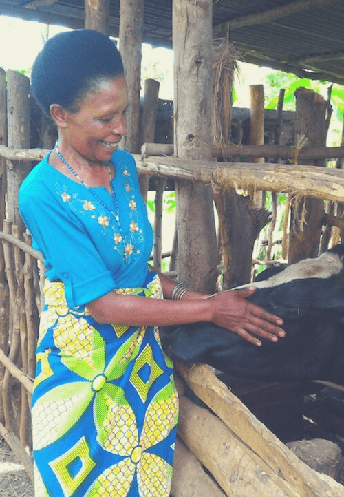 Auch Marie Bedabasingwa ist stolze Besitzerin einer Kuh, die ihr wertvollen Biodünger für den Kaffeeanbau liefert
