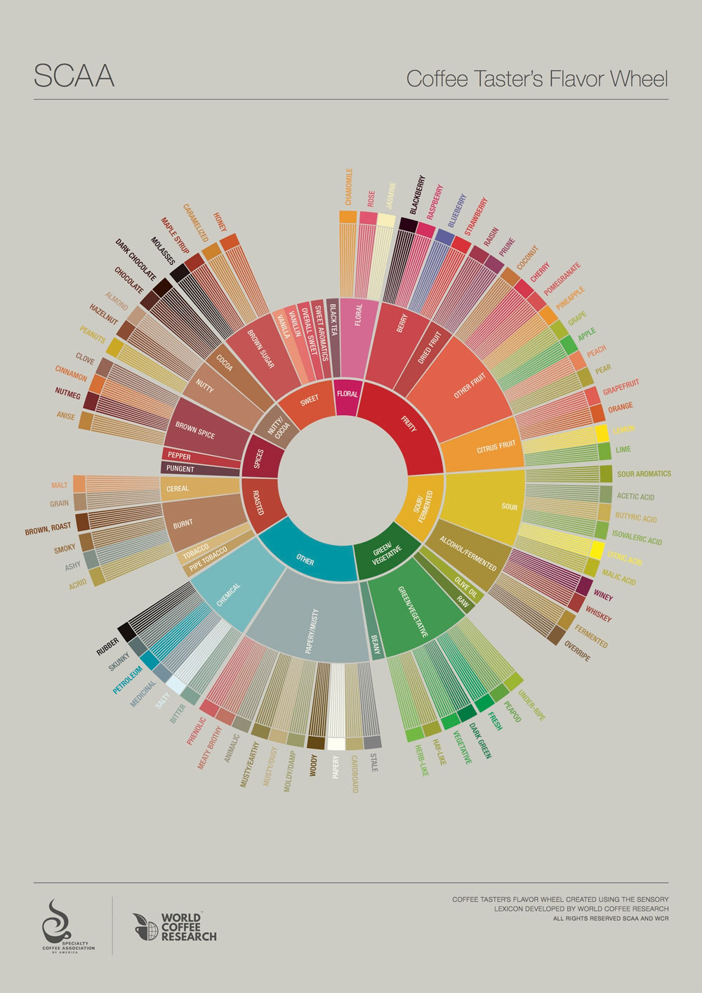 Aromarad der Specialty Coffee Association of America Aromarad der Specialty Coffee Association of America