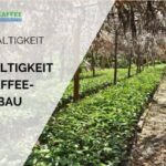 Nachhaltigkeit im Kaffeeanbau