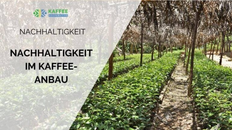 Nachhaltigkeit im Kaffeeanbau