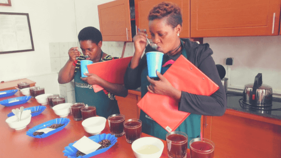 Eugenie und Emerithe von Rwashoscco beim Cupping