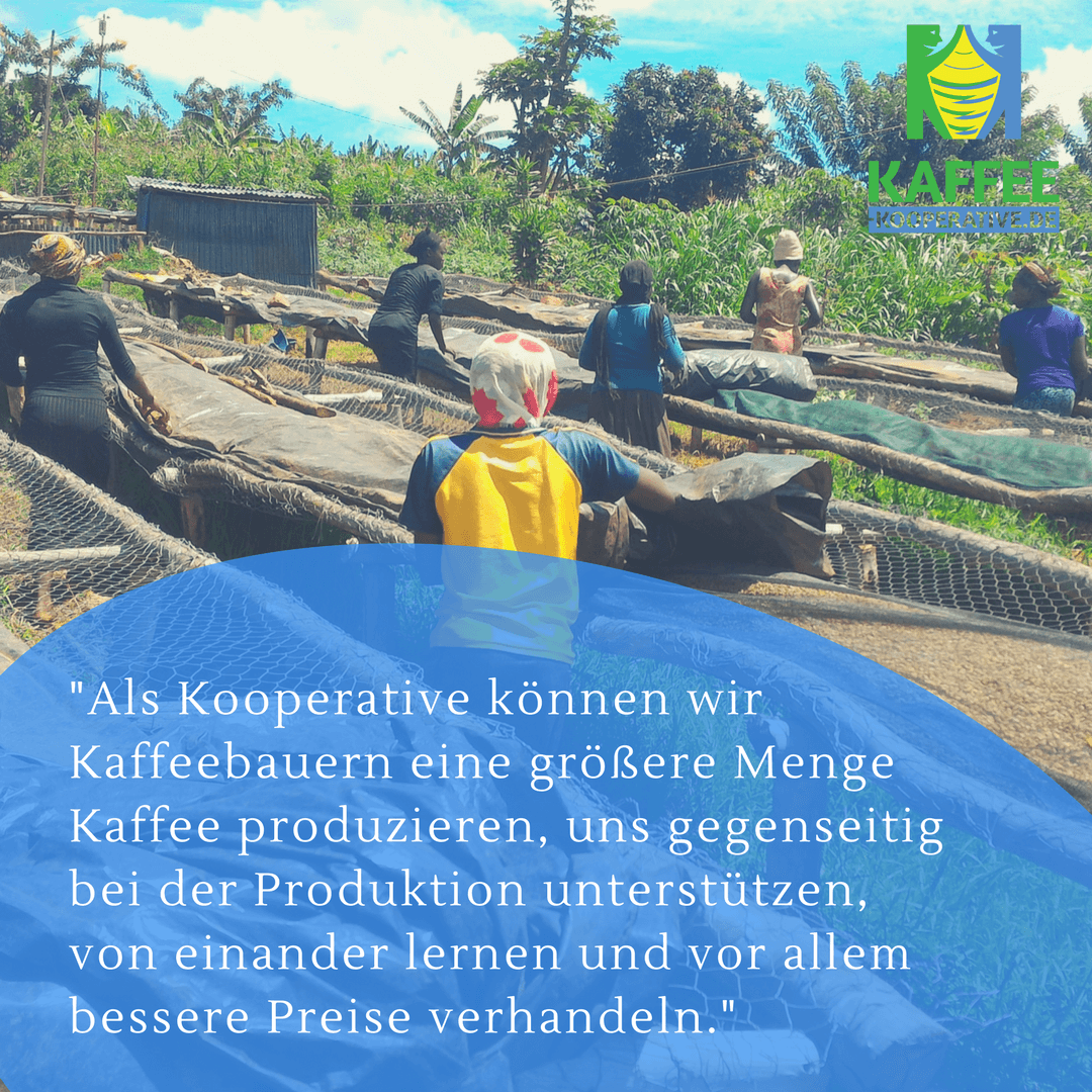 Vorteile Kooperative