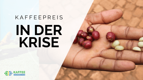 kaffee in der krise