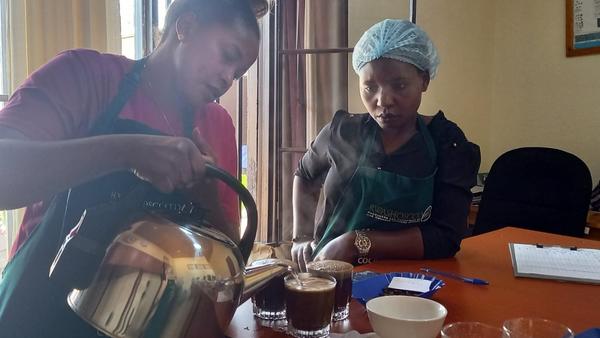 Kaffee Tasting in Ruanda: Aufbrühen des Kaffees