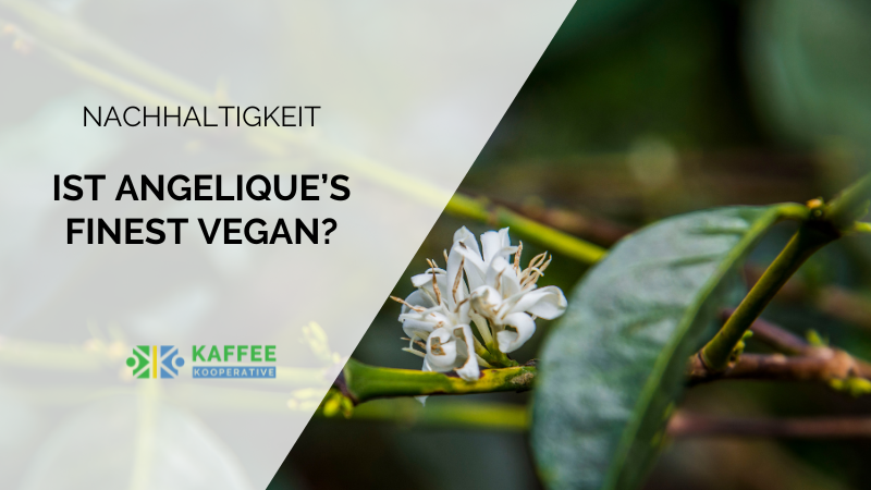 Ist Angelique's Finest Kaffee Vegan ?