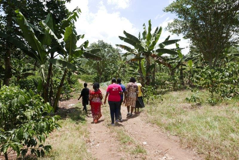 Bäuerinnen aus Ruanda auf dem Weg zum Kaffeefeld
