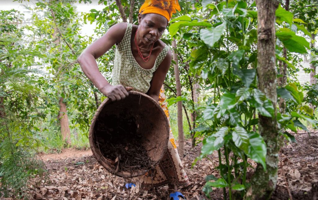 Bäuerin beim Mulchen