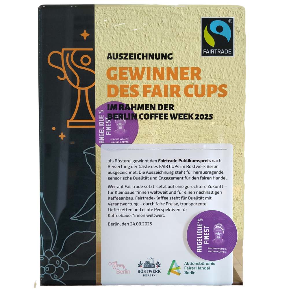 Gewinner des Fair Cups