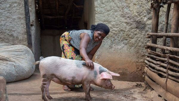 Bäuerinnen mit ihrem Schwein.