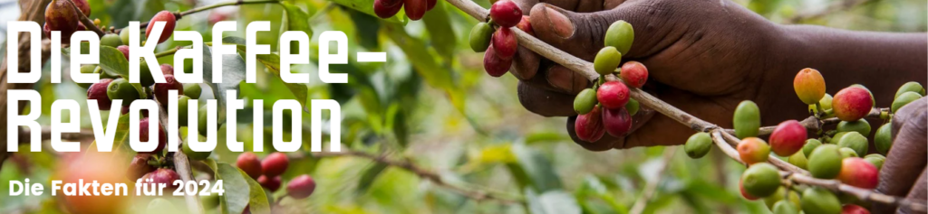 Transparent Bericht 2024